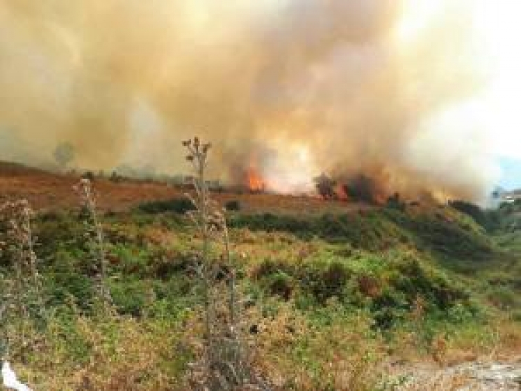 Situata nga zjarret, vatra aktive në Shkodër,Lezhë e Elbasan