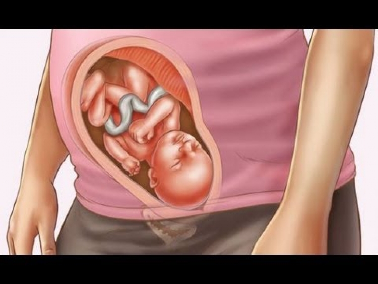 9 muaj shtatzëni në vetëm 4 minuta [VIDEO]