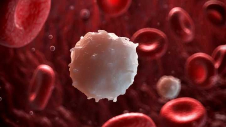 Shkencëtarët gjejnë kurën për Leukeminë