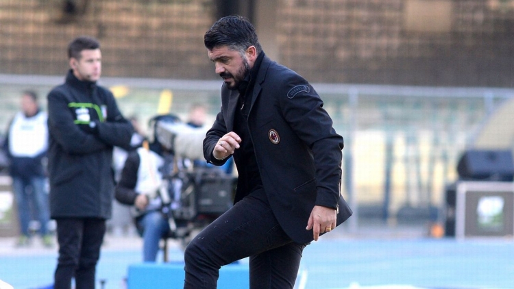 Gattusso me 