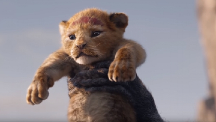 Disney publikon për herë të parë filmin Lion King me pjesëmarrjen e Beyoncè.