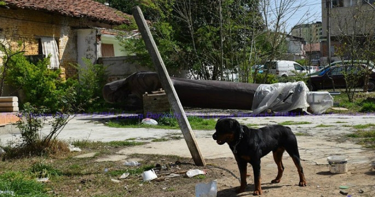 “Shtegëton”, Nënë Tereza!