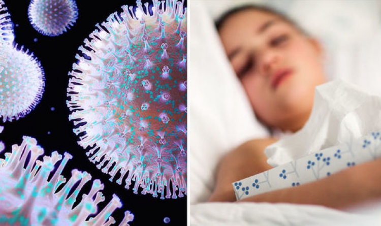 Gripi vdekjeprurës/ Me mijëra pacientë humbën jetë pasi u prekën nga virusi
