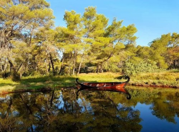 ‘Për aromën e pishave, fluturimin e pelikanëve e flamingove’, ja pse duhet të vizitohet Karavastaja