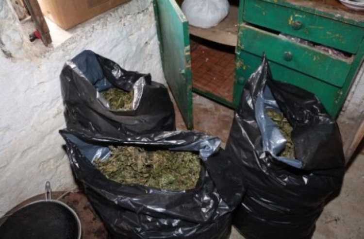 Kreu i Guardia di Finanza: 33 ton kanabis shqiptar kemi kapur gjatë këtij viti