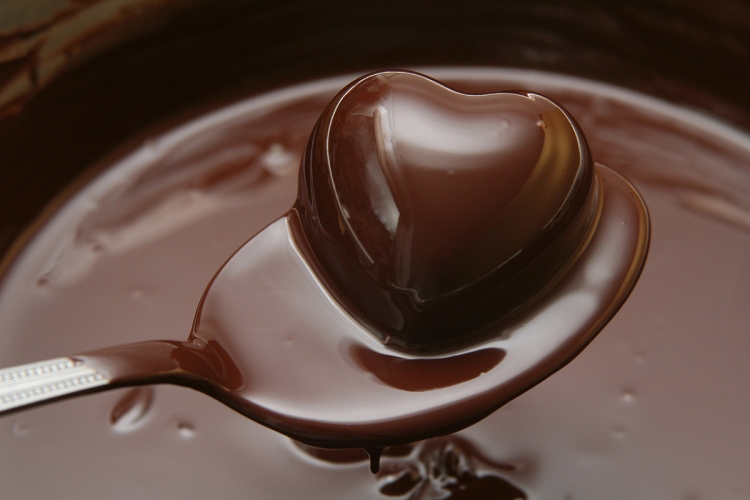 Çokollata juaj e preferuar mund të mos ekzistojë më![VIDEO]