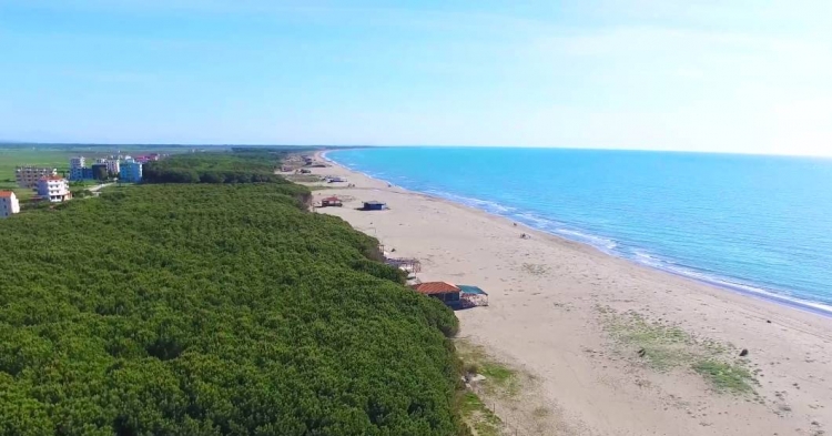 Grabitja e pronave në Spille, prokuroria heton 23 persona