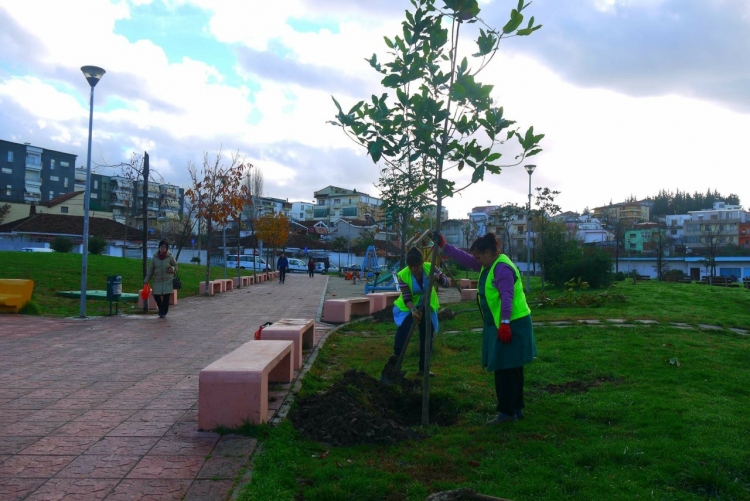 Një rehabilitim për lulishtet e lagjeve në Tiranë