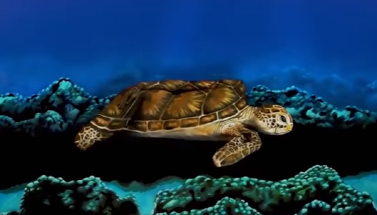 Breshka që shndërrohet në vajzë...çfarë ndodh nën ujë [VIDEO]