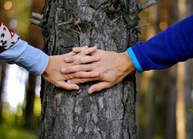 Përpara se sa të martoheni dhe të lindni fëmijë...mbillni një pemë [FOTO]