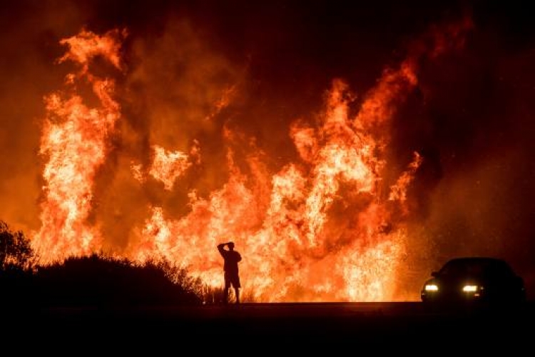Zjarret apokaliptike në Kaliforni, mbi 600 njerëz të zhdukur