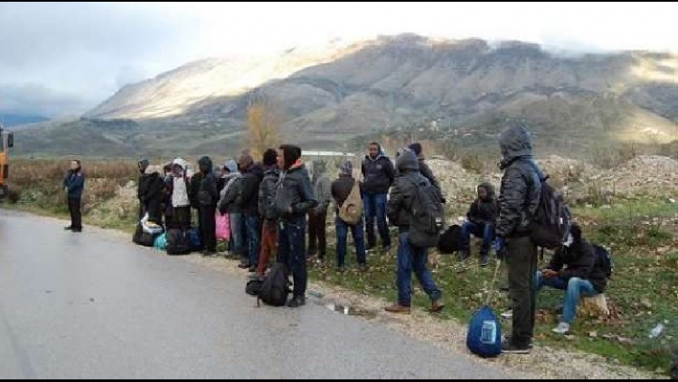 IOM, shumë sirianë përdorin Shqipërinë dhe Malin e Zi për emigrim të paligshëm