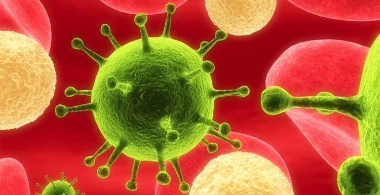 Zbulohet antitrupi që asnjëanëson virusin HIV