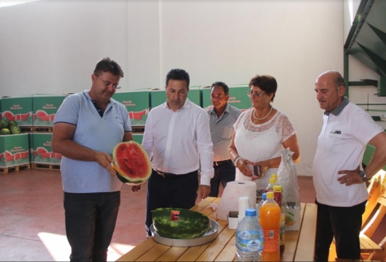 Eksportet bujqësore drejt BE-së, ministri Niko Peleshi: 