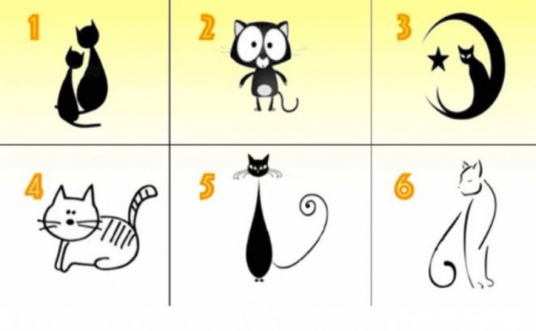 Macja që ju zgjidhni zbulon tiparet dominuese të karakterit tuaj
