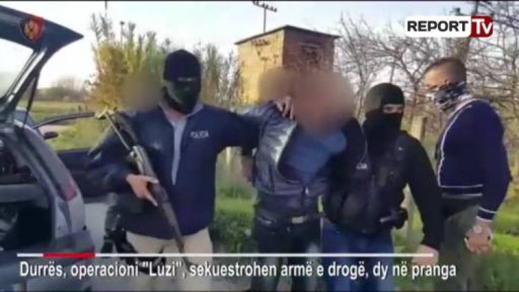 Operacioni ‘Luzi’ në Fushë-Krujë, sekuestrohen 44 kg kanabis, dy në pranga, një në kërkim