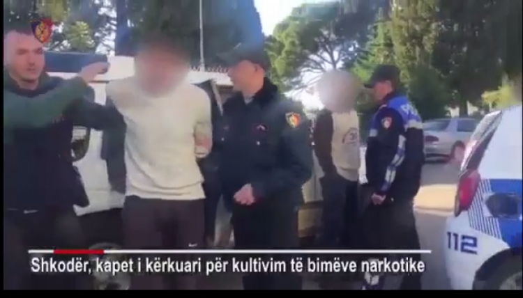 Arrestohet në Shkodër i shumë kërkuari Mark Ndou