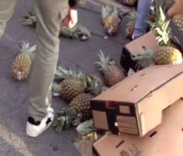 “Mrekullia”, kapen 221 kg kokainë e fshehur në ananas, mes të arrestuarve edhe 1 shqiptar