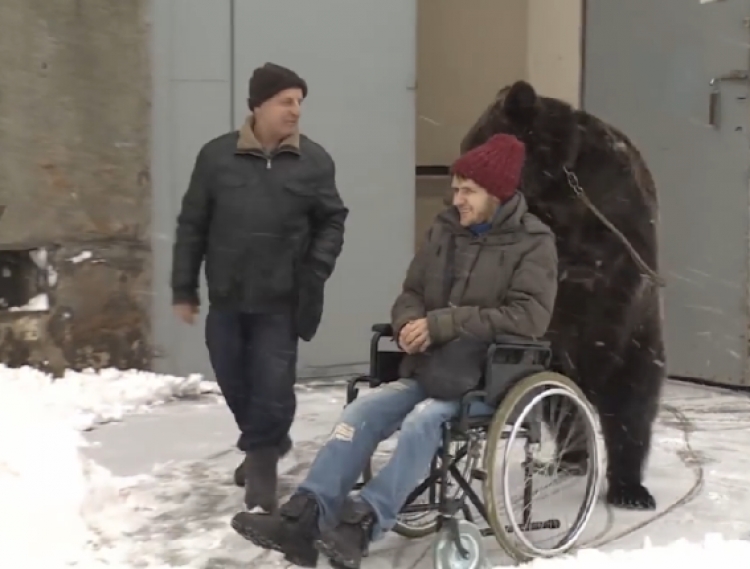 E pabesueshme! Ky ari kujdeset për mikun e tij në mënyrë shembullore..[VIDEO]