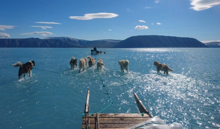 Vala e nxehtë, Alarmi: Në një muaj Grenlanda humbi 160 miliardë ton akull [VIDEO]