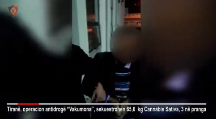 Tiranë, operacion antidroge “Vakumona”, arrestohen 3 shtetas me 65.6 kilogramë marijuanë