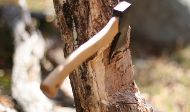 Kishte dal për të prerë dru në pyll, humb jetën tragjikisht i riu