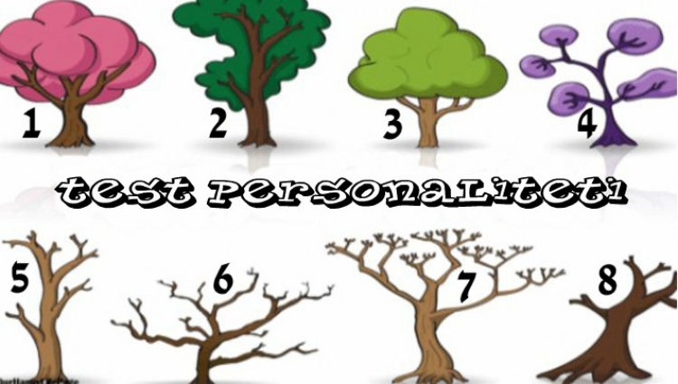 Test: Zgjidhni një pemë dhe ne do ju themi çfarë personaliteti keni
