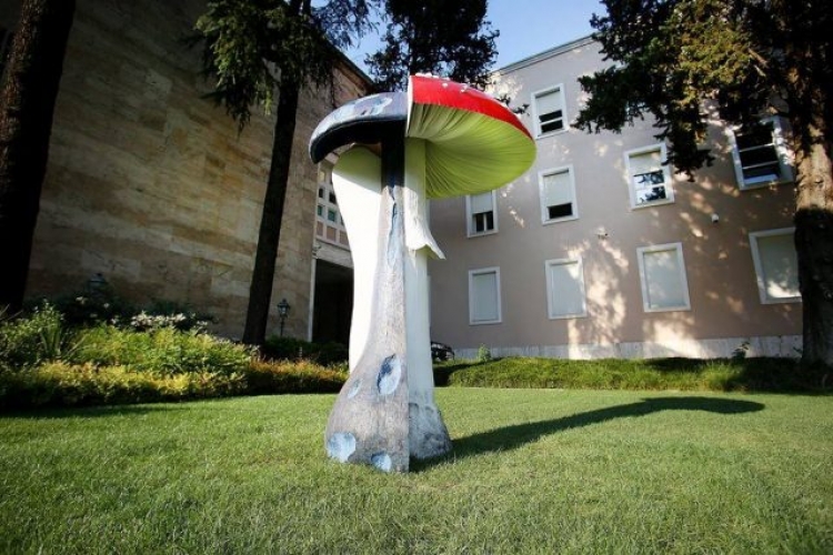 Rama i kërkon ndjesë artistit që i dhuroi kërpudhën, 