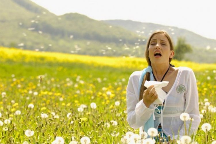 Shikoni çfarë i shkaktojnë alergjitë e stinës, shëndetit tuaj