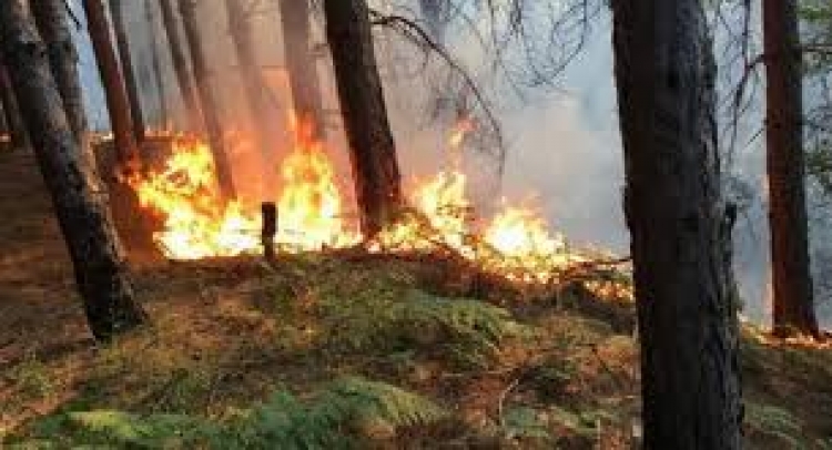 Shqipëria e paaftë të menaxhojë emergjencat [VIDEO]