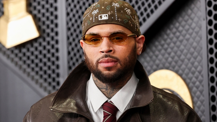 Shërbyesja u shpërfytyrua nga qeni i tij, Chris Brown dënohet me gjobën e majme