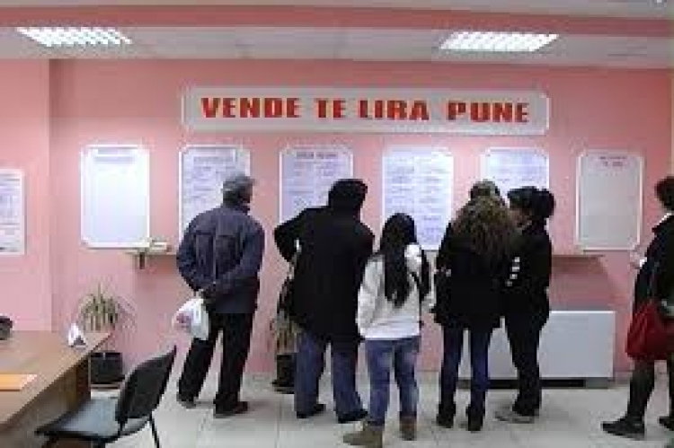 Shpallen 337 vende të lira pune në Shqipëri, juristë, përkthyes dhe...