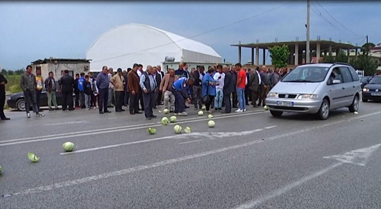 Fermerët në protestë, bllokojnë unazën e Korçës dhe hedhin produktet në rrugë