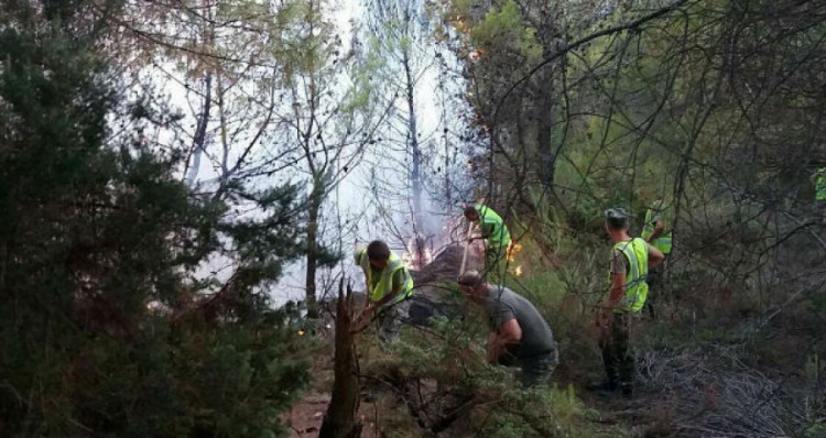 Situata e zjarreve, EC: 10 vatra të reja në vend