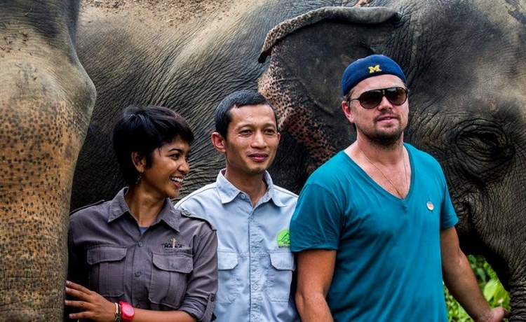 Vizita në Indonezi fut Leo DiCaprio në telashe