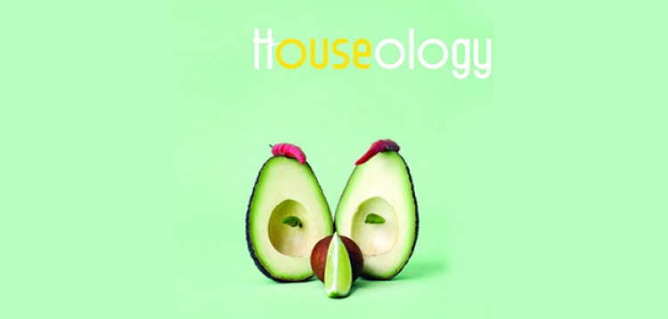HOUSEOLOGY