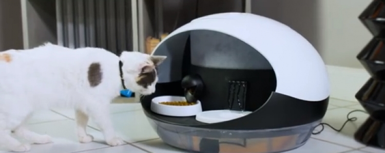 Një robot që ushqen macet, njihuni me Catspad