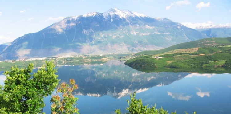 Bie bora e parë për këtë vit në këtë qytet të Shqipërisë [FOTO]