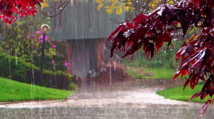 Reshje intensive shiu dhe shtrëngata, ç’pritet të ndodh sot