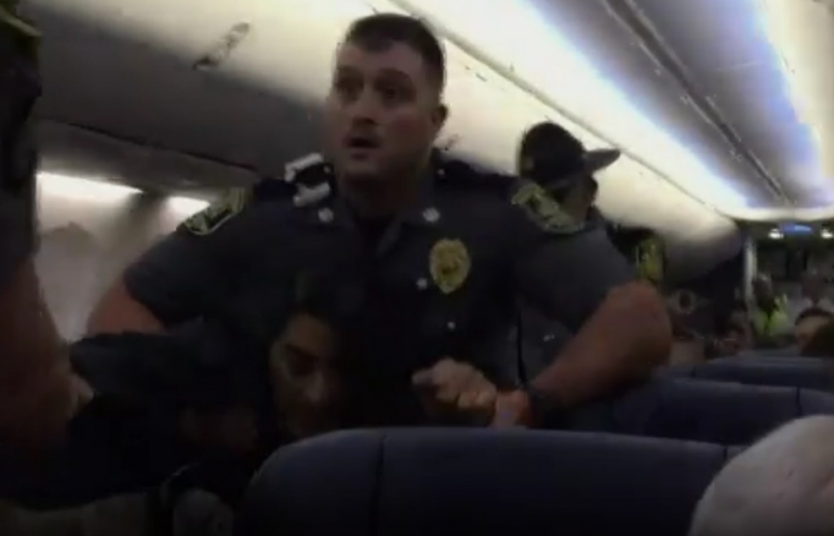 Gruan e nxjerrin me forcë nga avioni pasi nuk duronte dot qentë në bord [VIDEO]
