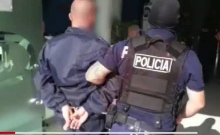 Vijon “ndëshkimi” në Krujë, 11 të arrestuar për kultivim të bimëve narkotike