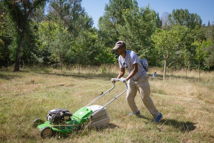 Të rinjtë shqiptarë dhe amerikanë i bashkohen nismës për pastrimin e Parkut të Liqenit