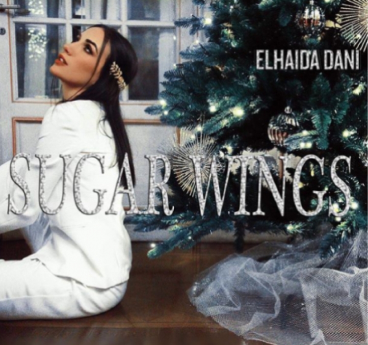 Elhaida Dani na ëmbëlson festat, sjell për publikun “Sugar Wings”...[VIDEO]