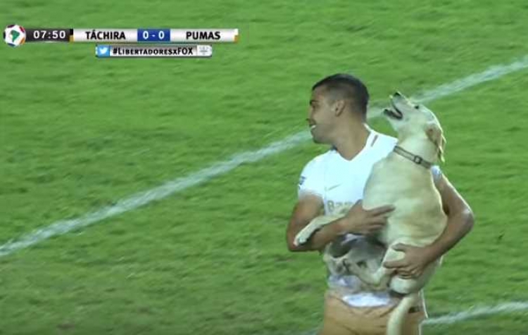 Qeni bëhet lojtari i 23-të në fushë, luan me futbollistët