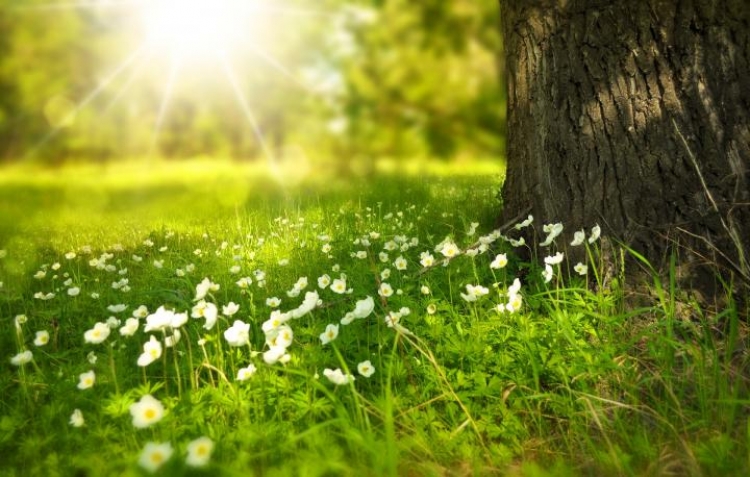 Përpara se të dilni nga shtëpia, shikoni një herë sesi do të jenë TEMPERATURAT për ditën e mërkurë