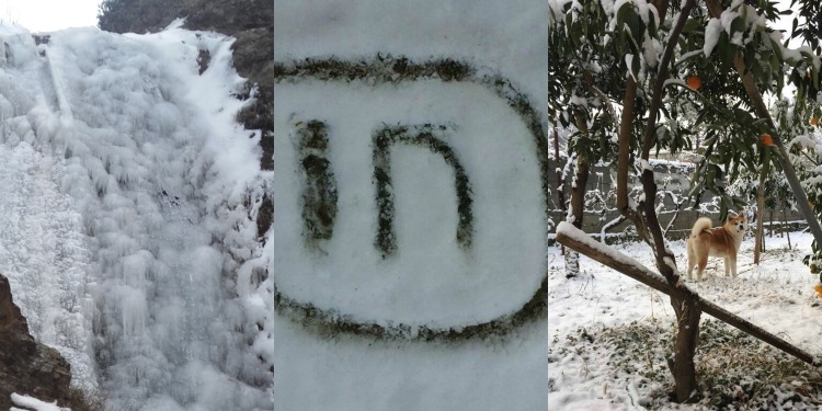 Dëborë në Tiranë, ja fotot më të veçanta të kësaj dite nga lexuesit e INTv [FOTO]