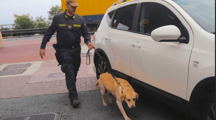 Çifti shqiptar niset me pushime në Spanjë me 290 mijë euro, ndalohen nga policia, arsyeja