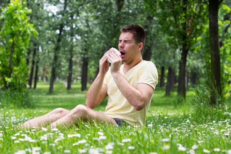 Këshillat e ekpertëve, ja sesi ti eliminoni problemet nëse vuani nga alergjitë e stinës