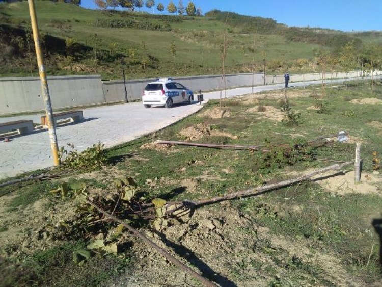 Vandalizohet parku i liqenit të Farkës, dëmtohen pemët gjatë natës