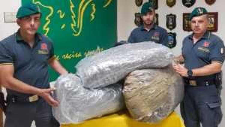 50kg marihuanë, prangoset shoferi shqiptar. Ja ku e kishte futur drogën [FOTO]